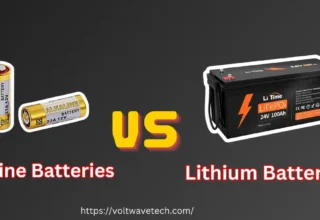 A comparison between lithium batteries vs alkaline batteries, showcasing their differences and similarities.